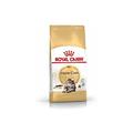 Royal Canin Katzenfutter Maine Coon 31, 4 kg