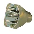 Original Lamp & Housing for the Vidikron Model 10 Projector - 240 Day Warranty