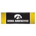 Iowa Hawkeyes 2' x 6' Wordmark Vinyl Banner