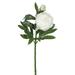 Vickerman 458914 - Peony x 2-Cream (Pk/3) (FA174802) Home Office Flowers with Stems