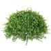 Vickerman 463697 - 13" Mixed Greenery Half Ball (FF170601) Home Office Picks and Sprays