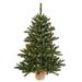 Vickerman 421901 - 3' Artificial Anoka Pine Tree w/Burlap Base 100 Warm White LED Lights Christmas Tree (B160437LED)