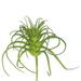 Vickerman 458303 - Plastic Grass-Frosted Green 6/Bag (FA171701) Home Office Picks and Sprays