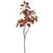 Vickerman 459522 - 4' Cotinus Coggygria Branch-Red (TB170302) Home Office Bushes