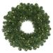 Vickerman 420089 - 20" Oregon Fir Wreath DL 35LED WmWht (C164621LED) Christmas Wreath Smaller than 24 Inches