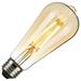 Satco 08612 - 4.5ST19/AMB/LED/E26/20K/120V S8612 Edison Style Antique Filament LED Light Bulb