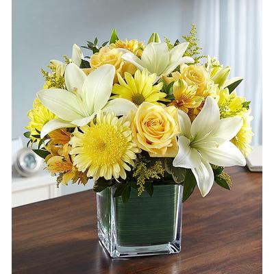 1-800-Flowers Everyday Gift Delivery Healing Tears Yellow & White Large | Happiness Delivered To Their Door