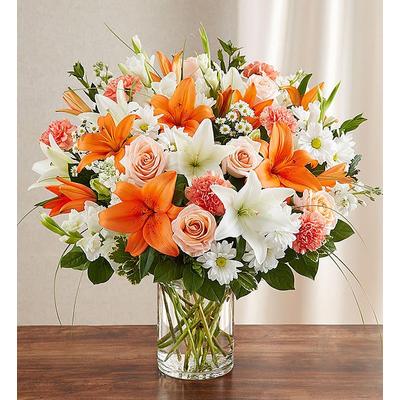 1-800-Flowers Flower Delivery Sincerest Sorrow Peach Orange & White Medium | Happiness Delivered To Their Door