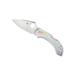 Spyderco Dragonfly SS Tattoo FE Blade Fold Knife C28PT