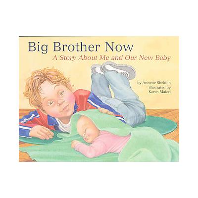 Big Brother Now by Annette Sheldon (Paperback - Magination Pr)