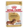 Royal Canin Bassotto (Dachshund) Adult Patè umido per cane - Set %: 24 x 85 g