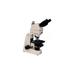 Meiji Techno LED Ergonomic Trinocular BrightfiledPhase Contrast Biological MicroscopeMT4310El MT4310EL