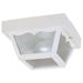 Westinghouse 66975 - 1 Light White Outdoor Light Fixture