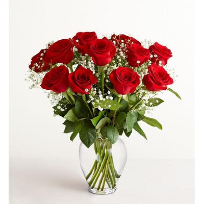 1-800-Flowers Flower Delivery Rose Elegance Premium Long Stem Red Roses 12 Stems | Happiness Delivered To Their Door