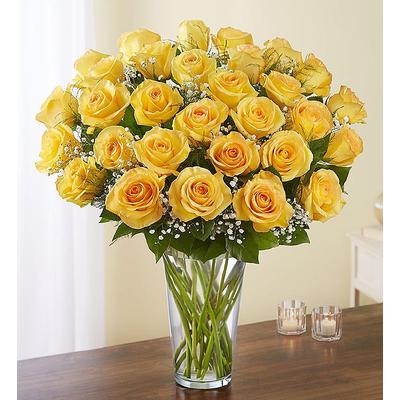 1-800-Flowers Flower Delivery Ultimate Elegance Premium Long Yellow36 Roses | Happiness Delivered To Their Door