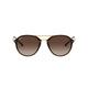 Ray-Ban Unisex's RB4292N 710/13 Sunglasses, Light Havana/Browngradient, 61