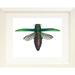 August Grove® 'Emerald Ash Borer Beetle' Framed Oil Painting Print Paper in Green/White | 19 H x 23 W x 1 D in | Wayfair AGTG5914 44005867