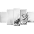 Design Art 'Black & White Rose in Spring' 5 Piece Photographic Print on Metal Set Canvas in Black/White | 32 H x 60 W x 1 D in | Wayfair