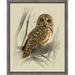 Ashton Wall Décor LLC 'Barred Owl III' Framed Photographic Print on Wrapped Canvas in Brown/Gray/Green | 20.5 H x 16.5 W x 2 D in | Wayfair 4202
