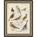 Ashton Wall Décor LLC 'Gathering of Birds I' Framed Graphic Art Print on Canvas in Gray/Red/Yellow | 29 H x 23 W x 1.12 D in | Wayfair 6077