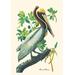 Buyenlarge Pelican by John James Audubon Graphic Art in Gray/Green | 66 H x 44 W x 1.5 D in | Wayfair 0-587-03559-5C4466