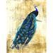 Buy Art For Less 'Vintage Peacock' by Ed Capeau Graphic Art on Wrapped Canvas in Black/Blue/Yellow | 16 H x 12 W x 1.5 D in | Wayfair