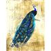 Buy Art For Less 'Vintage Peacock' by Ed Capeau Graphic Art on Wrapped Canvas Metal in Black/Blue/Yellow, Size 32.0 H x 24.0 W x 1.5 D in | Wayfair