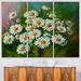 Design Art Heavily Textured Daisies Art - 3 Piece Painting Print on Wrapped Canvas Set Canvas in Green/White | 28 H x 36 W x 1 D in | Wayfair