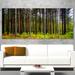 Design Art 'Pine Trees in Michaux Forest' 5 Piece Photographic Print on Wrapped Canvas Set Canvas in Green | 28 H x 60 W x 1 D in | Wayfair