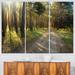 Design Art Road Through Pine Forest - 3 Piece Graphic Art on Wrapped Canvas Set Canvas in Green | 28 H x 36 W x 1 D in | Wayfair PT8864-3P