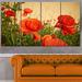 Design Art 'Colorful Poppy Flower Field' 4 Piece Photographic Print on Wrapped Canvas Set Canvas in Red | 28 H x 48 W x 1 D in | Wayfair