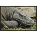 East Urban Home 'Komodo Dragon, Nusa Tenggara, Indonesia' Framed Photographic Print in Gray/Green | 12 H x 18 W x 1.5 D in | Wayfair