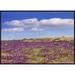 East Urban Home 'Sand Verbena Carpeting The Ground, Imperial Sand Dunes, California' Framed Photographic Print in Blue/Indigo | Wayfair