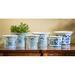 Darby Home Co Marjory 6-Piece Pot Planter Set Clay & Terracotta | 6 H x 6.5 W x 6.5 D in | Wayfair DRBH1804 43865281