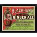 East Urban Home 'Blackhawk Ginger Ale' Framed Graphic Art Print Paper in Green/Red | 9 H x 12 W x 1 D in | Wayfair EASN8161 39525571