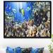 East Urban Home 'Coral Colony & Coral Fish' Framed Photographic Print on Wrapped Canvas Metal in Blue | 32 H x 42 W x 1.5 D in | Wayfair