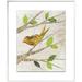 East Urban Home 'Birds in Spring II' Framed Graphic Art Print on Canvas in Brown/Green | 46.6 H x 39.6 W x 1.5 D in | Wayfair ETHG5581 45376560