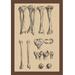 Buyenlarge 'Leg Bones' by Andreas Vesalius Graphic Art Paper in Gray/Green | 36 H x 24 W x 1.5 D in | Wayfair 0-587-11875-xC2436