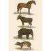 Buyenlarge Animals - Unframed Graphic Art Print in White | 36 H x 24 W x 1.5 D in | Wayfair 0-587-64271-LC2436