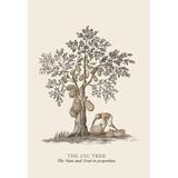 Buyenlarge 'The Jac Tree' by Baron de Montalemert Painting Print in Black/Green | 36 H x 24 W x 1.5 D in | Wayfair 0-587-13629-4C2436