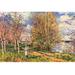 Buyenlarge 'Les Petits Prés Au Printemps' by Alfred Sisley Painting Print in White | 24 H x 36 W x 1.5 D in | Wayfair 0-587-26303-2C2436