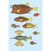 Buyenlarge Rarest Curiosities of The Fish of The Indies by Louis Renard - Graphic Art Print in Blue/Brown/Yellow | 42 H x 28 W x 1.5 D in | Wayfair