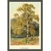Buyenlarge 'Silver Birch' by W.H.J. Boot Painting Print in Gray/Green | 42 H x 28 W x 1.5 D in | Wayfair 0-587-17595-8C2842