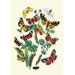 Buyenlarge Moths: N. Plantaginis, A. Purpurea, et AL. by W. F. Kirby Graphic Art in Green/Red/Yellow | 42 H x 28 W x 1.5 D in | Wayfair