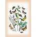 Buyenlarge Moths: Plusia Iota, P. Hochenwarthi, et AL. by W. F. Kirby Graphic Art in Brown/Green | 42 H x 28 W x 1.5 D in | Wayfair
