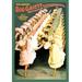 Buyenlarge 'The Gaiety Dancers' by Courier Litho Company Vintage Advertisement in Green/Pink/Yellow | 42 H x 28 W x 1.5 D in | Wayfair