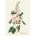 Buyenlarge Anna's Hummingbird by John James Audubon Graphic Art in Green/Pink | 66 H x 44 W x 1.5 D in | Wayfair 0-587-03550-1C4466