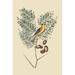 Buyenlarge 'American Goldfinch' by Catesby Graphic Art in White | 36 H x 24 W x 1.5 D in | Wayfair 0-587-30627-0C2436