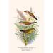 Buyenlarge Orange Cheeked Waxbill & Zebra Waxbill - Graphic Art Print in White | 36 H x 24 W x 1.5 D in | Wayfair 0-587-29606-2C2436