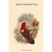 Buyenlarge 'Lorius Flavo-Palliatus Yellow-Mantled Lory' by John Gould Graphic Art in Brown/Green/Red | 42 H x 28 W x 1.5 D in | Wayfair